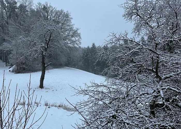 Waldblick - Entspannung Auf Dem Land Apartmán Vilshofen an der Donau