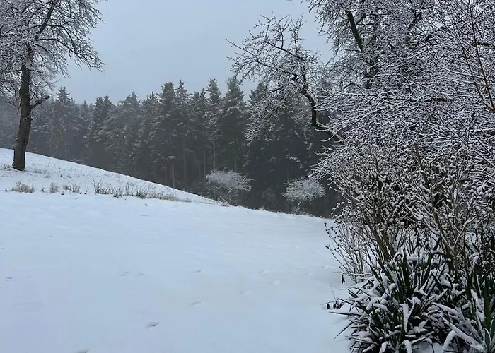Apartmán Waldblick - Entspannung Auf Dem Land Vilshofen an der Donau