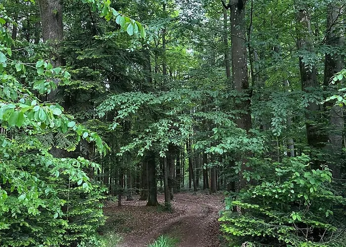 Waldblick - Entspannung Auf Dem Land Apartmán Vilshofen an der Donau