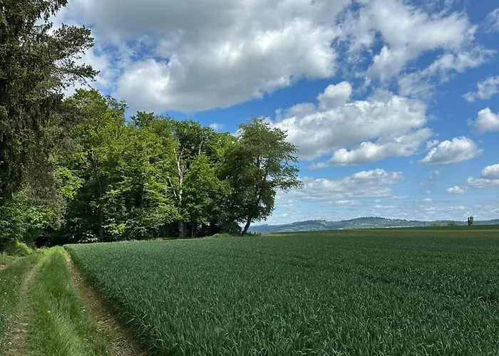 Waldblick - Entspannung Auf Dem Land Apartmán