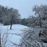 Waldblick - Entspannung Auf Dem Land Διαμέρισμα Vilshofen an der Donau