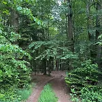 Waldblick - Entspannung Auf Dem Land Διαμέρισμα Vilshofen an der Donau