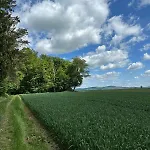 Waldblick - Entspannung Auf Dem Land Διαμέρισμα