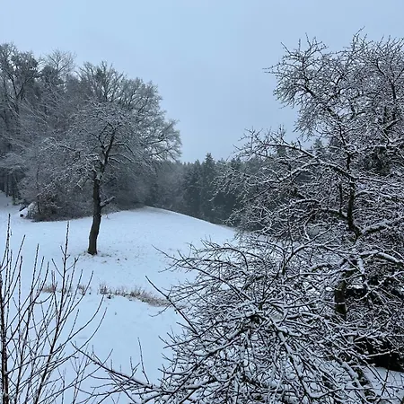 Waldblick - Entspannung Auf Dem Land Lejlighed Vilshofen an der Donau