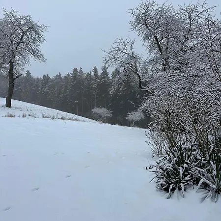 Lejlighed Waldblick - Entspannung Auf Dem Land Vilshofen an der Donau