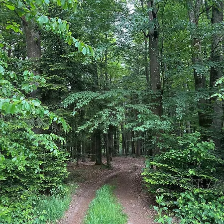 Waldblick - Entspannung Auf Dem Land Appartamento Vilshofen an der Donau