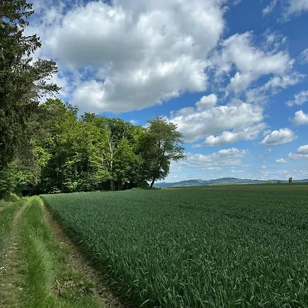 Waldblick - Entspannung Auf Dem Land Appartamento