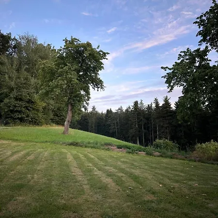 Waldblick - Entspannung Auf Dem Land *